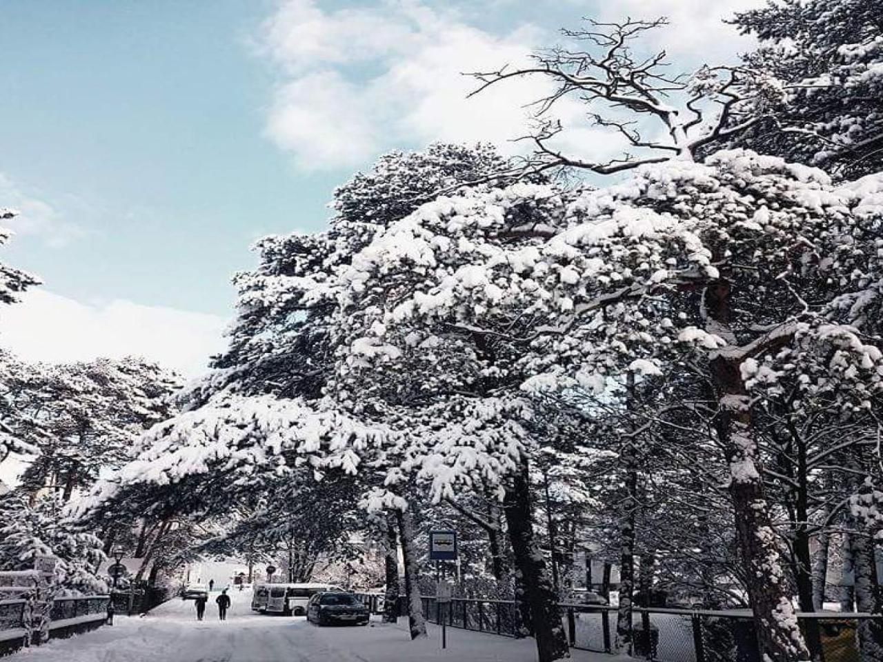 Plac Rybakow Inn Σόποτ Εξωτερικό φωτογραφία